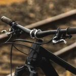 oak-Root-Lever Set 