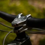 oak-Eternal Stem 35mm
